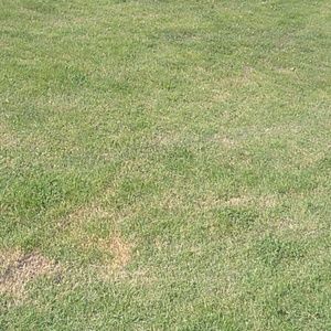 Meet your Posher, Brande'